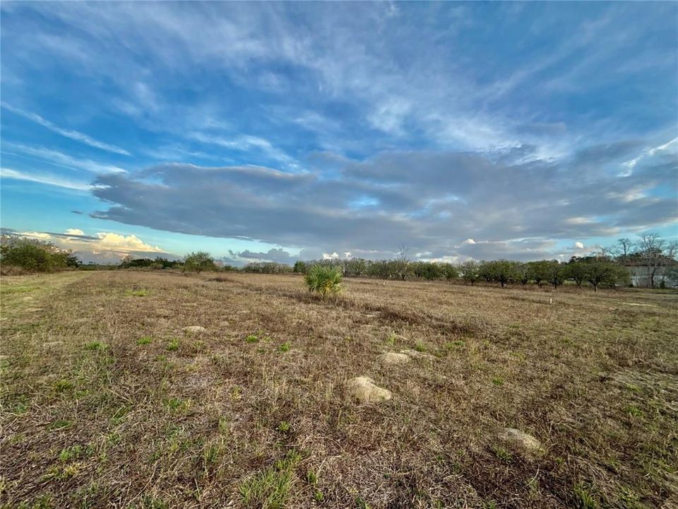 For Sale: $129,000 (2.92 acres)