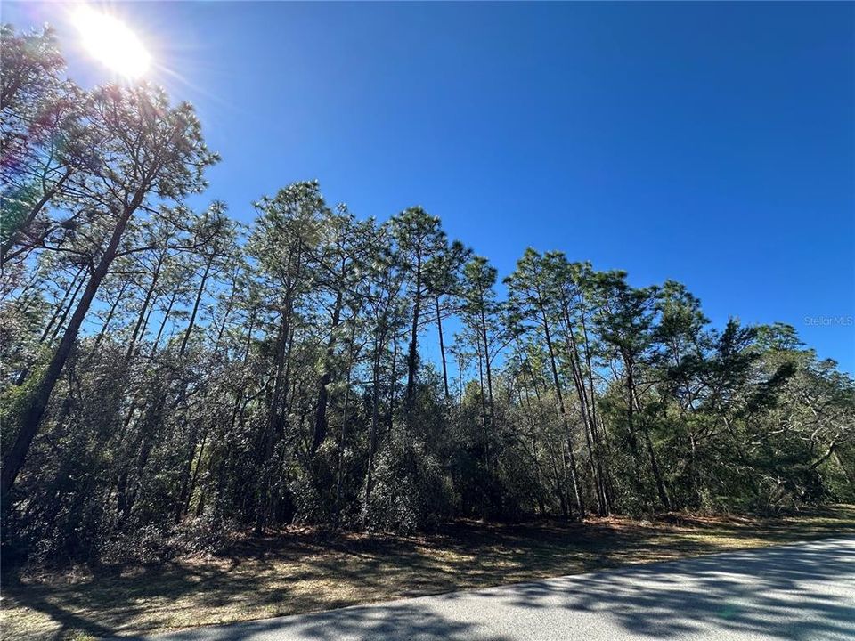 Recently Sold: $100,000 (2.98 acres)