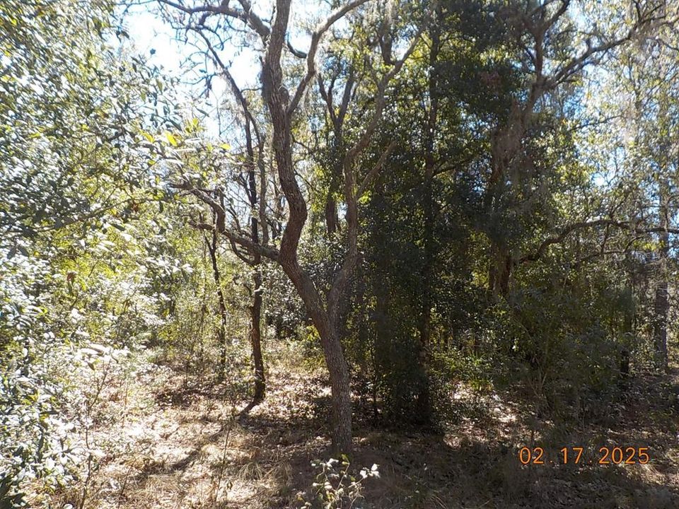 Vendido Recientemente: $38,000 (1.25 acres)