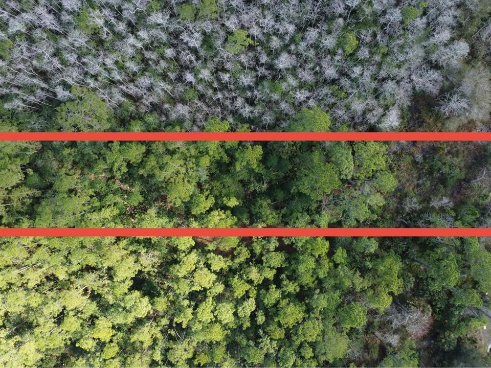 合同活跃: $205,000 (2.43 acres)