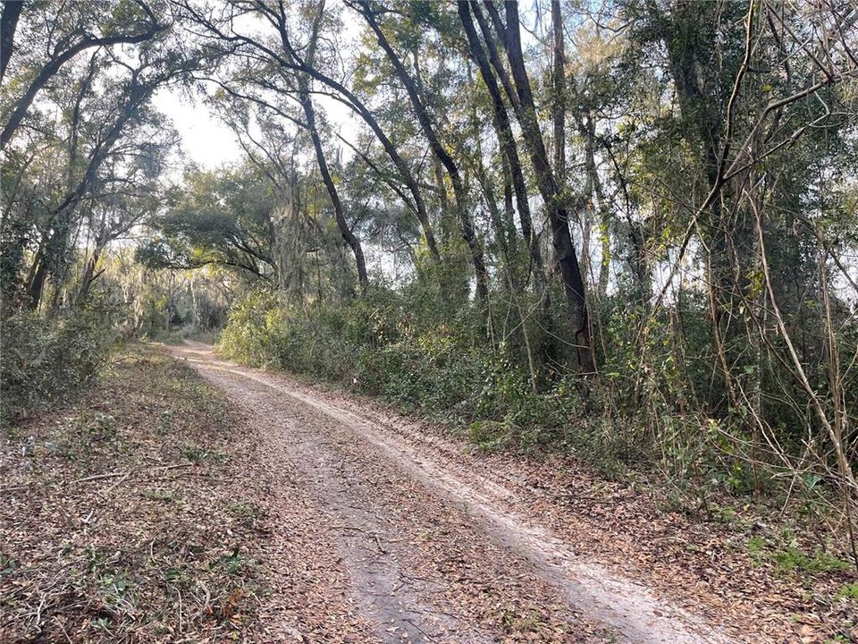 En Venta: $35,000 (0.19 acres)