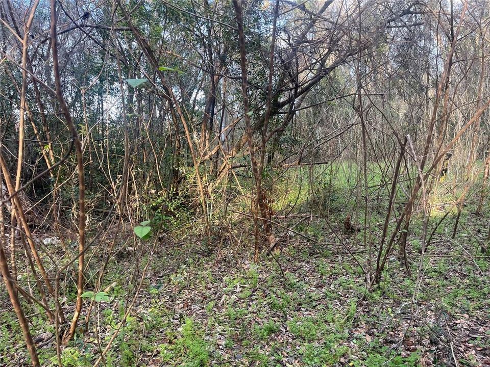 En Venta: $35,000 (0.19 acres)