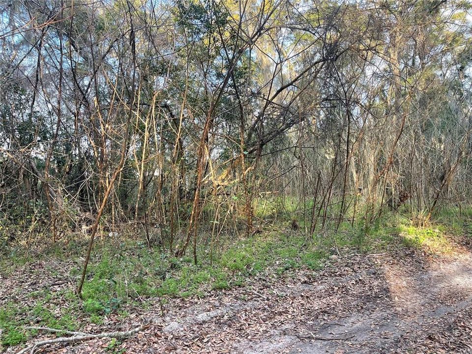 En Venta: $35,000 (0.19 acres)