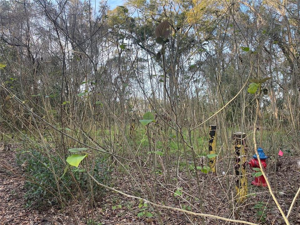 En Venta: $35,000 (0.19 acres)