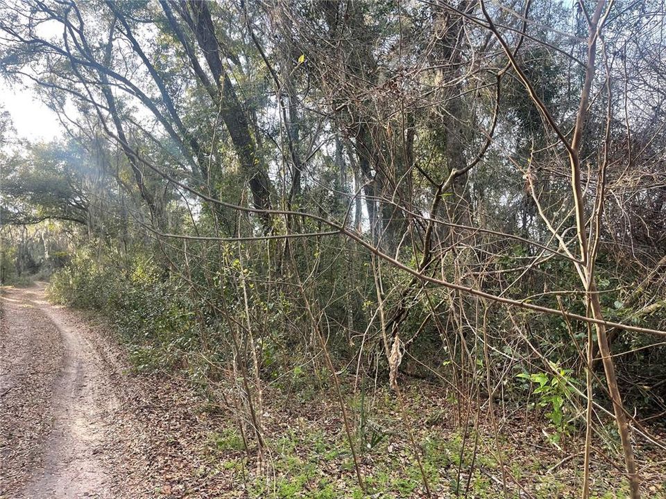 En Venta: $35,000 (0.19 acres)