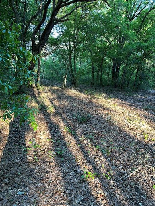 待售: $395,000 (5.00 acres)