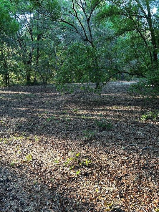 待售: $395,000 (5.00 acres)