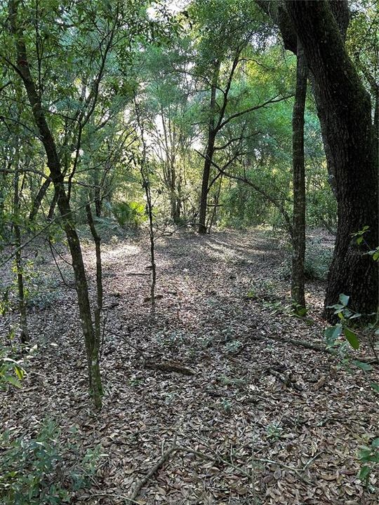 待售: $395,000 (5.00 acres)