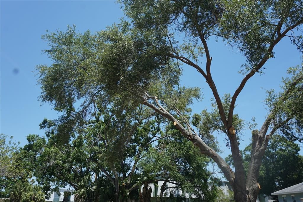 En Venta: $275,000 (0.02 acres)