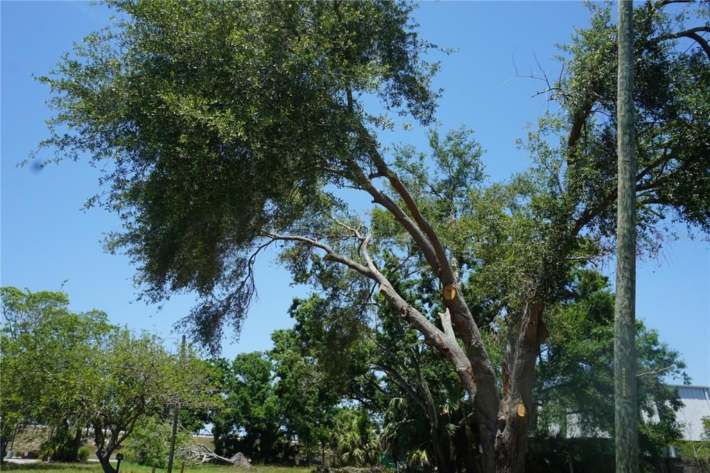 En Venta: $275,000 (0.02 acres)