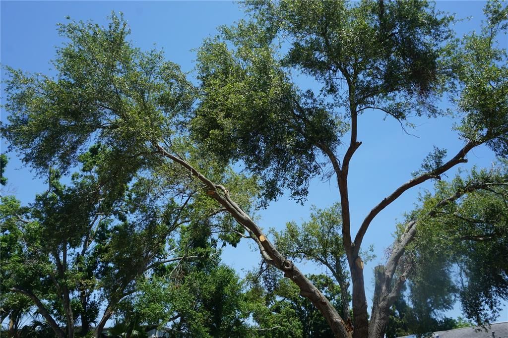 En Venta: $275,000 (0.02 acres)