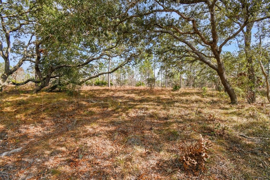 Recently Sold: $86,000 (2.31 acres)