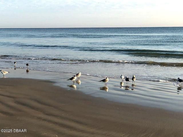 For Sale: $399,000 (2 beds, 2 baths, 1300 Square Feet)