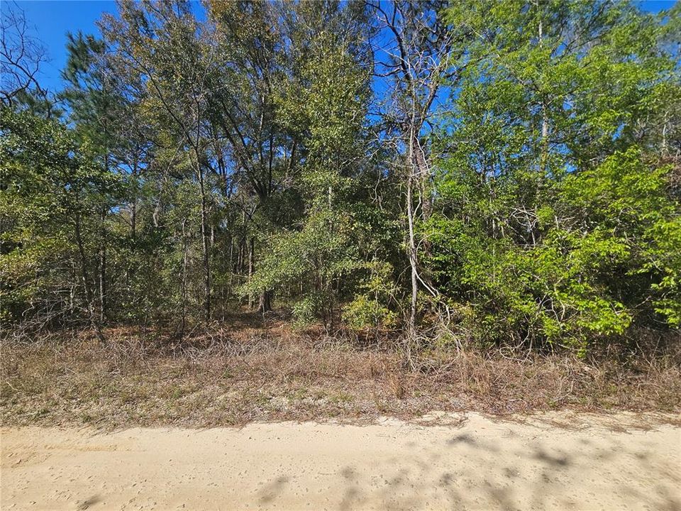 For Sale: $36,500 (1.00 acres)