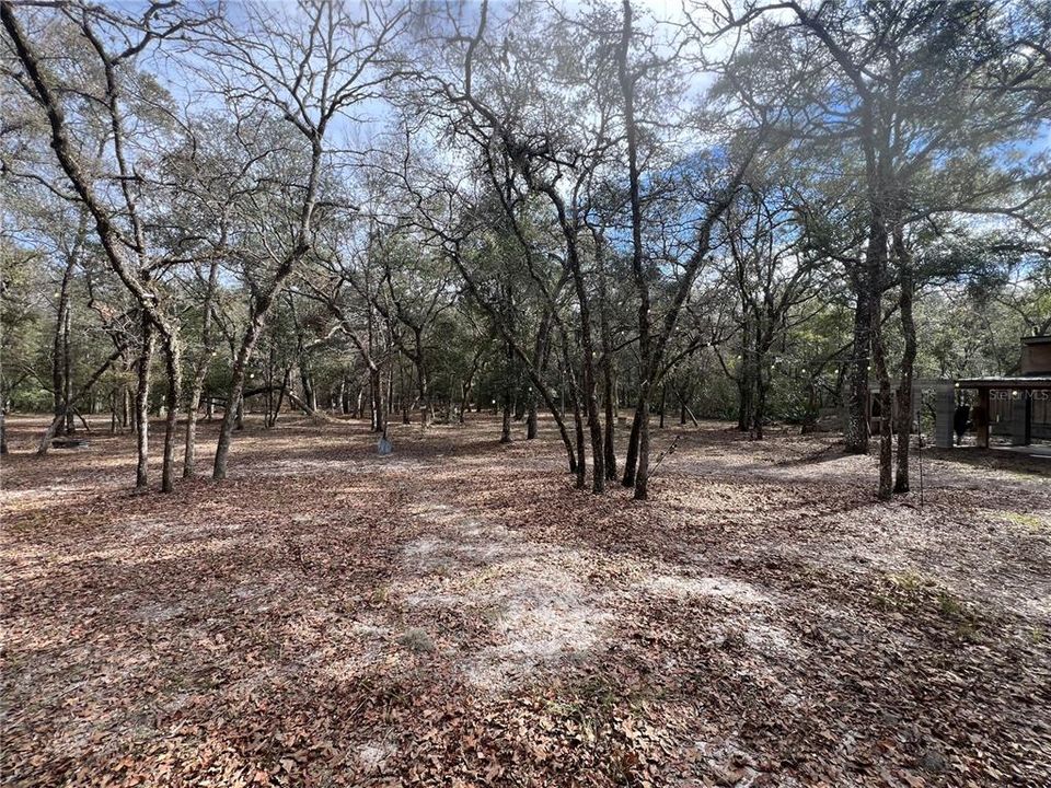 待售: $979,000 (39.67 acres)