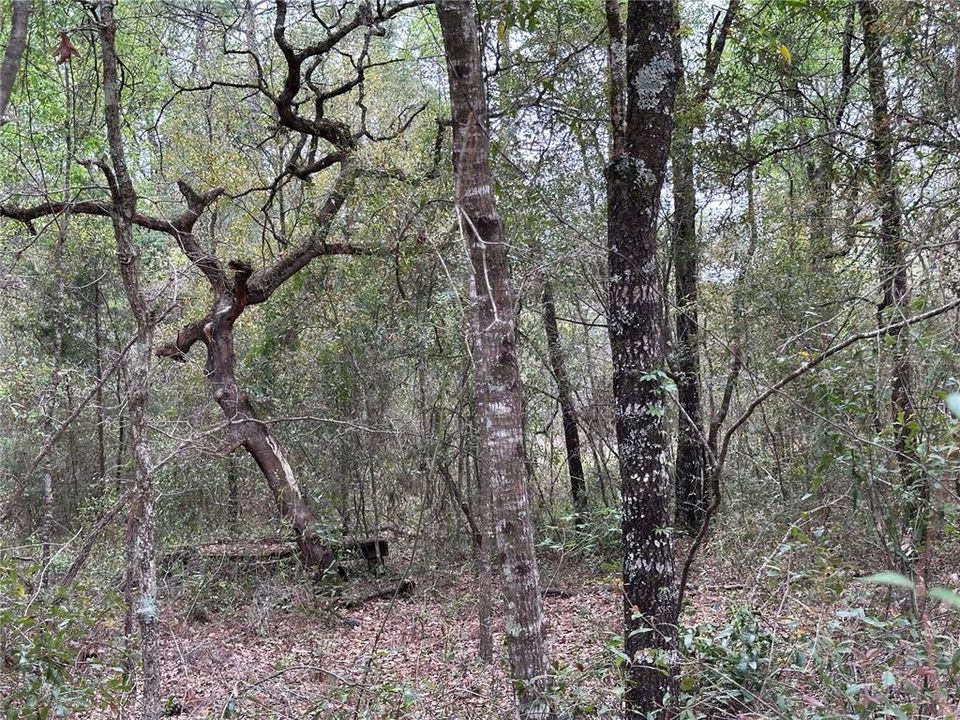 待售: $9,500 (0.23 acres)