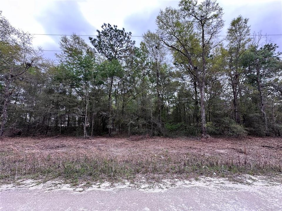 待售: $9,500 (0.23 acres)