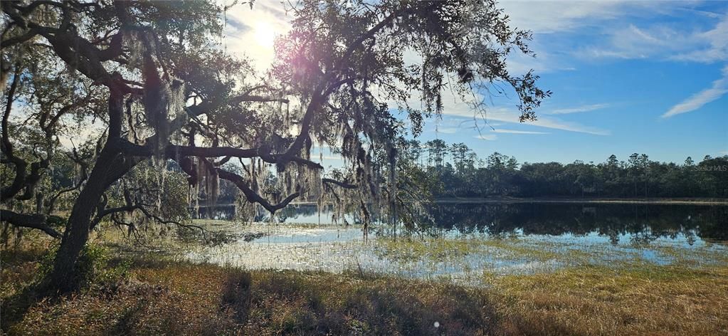 Vendido Recientemente: $184,900 (10.05 acres)