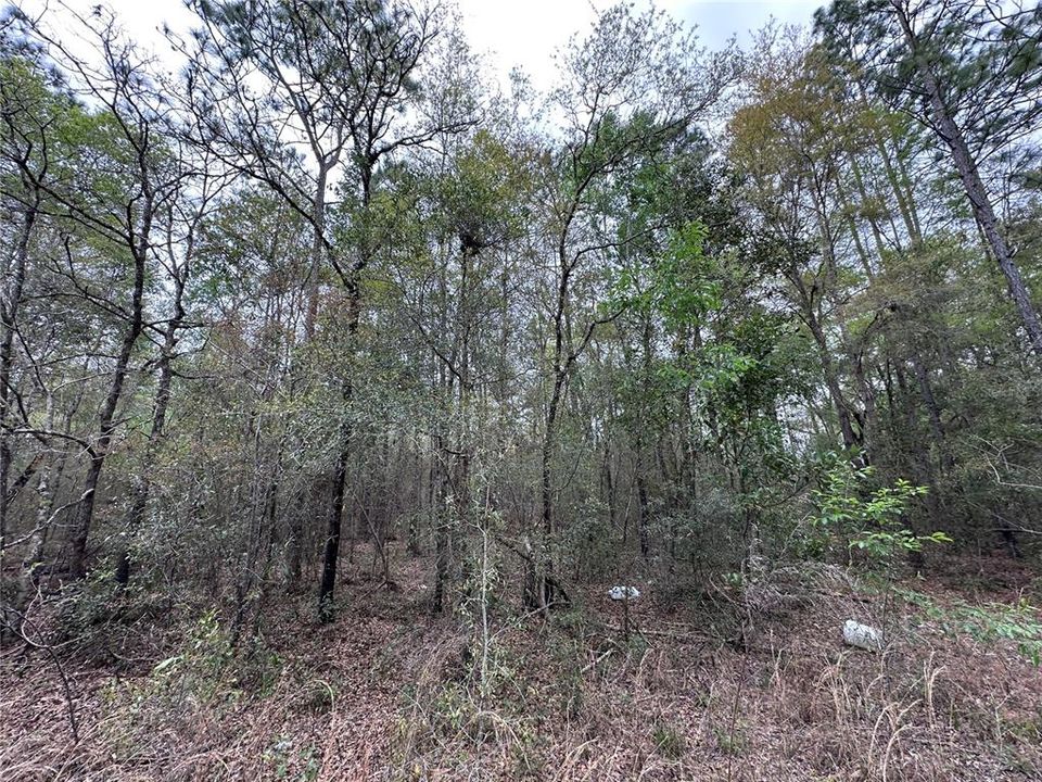 На продажу: $9,500 (0.23 acres)