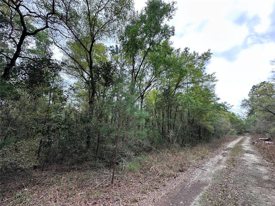 На продажу: $9,500 (0.23 acres)