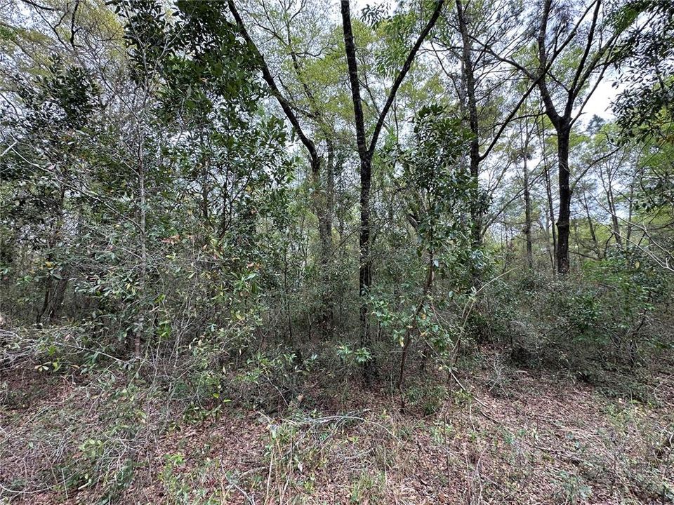 На продажу: $9,500 (0.23 acres)