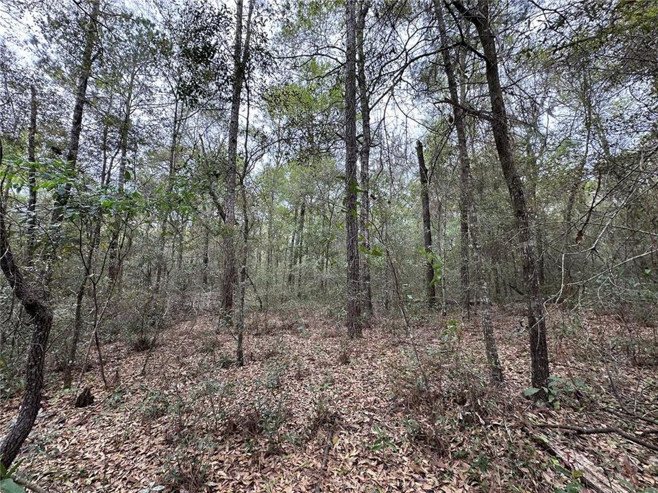 待售: $9,500 (0.23 acres)