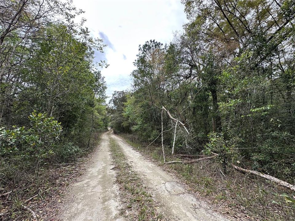 На продажу: $9,500 (0.23 acres)