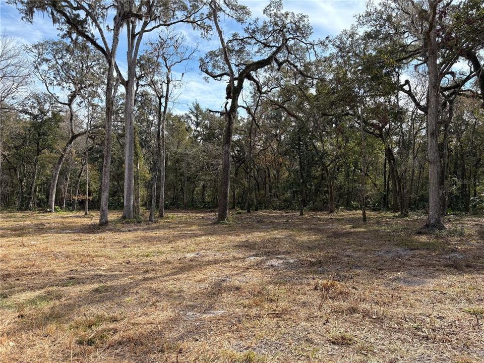 For Sale: $580,000 (19.20 acres)