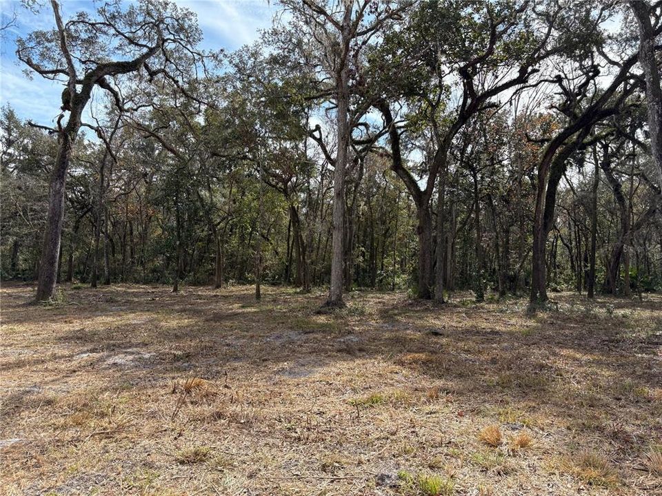 For Sale: $580,000 (19.20 acres)