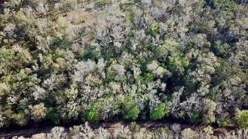 For Sale: $580,000 (19.20 acres)