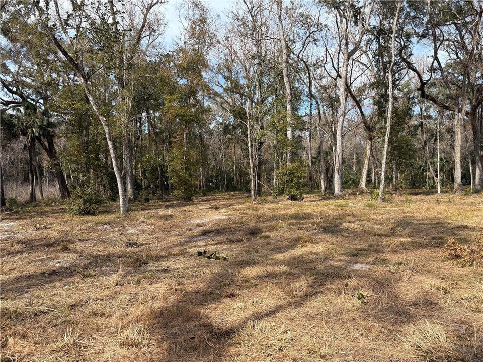 For Sale: $580,000 (19.20 acres)