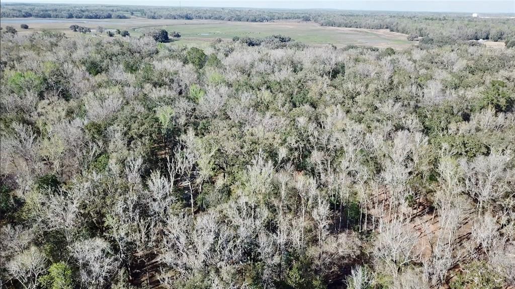 For Sale: $580,000 (19.20 acres)