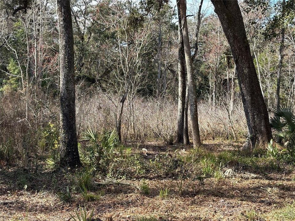 For Sale: $580,000 (19.20 acres)