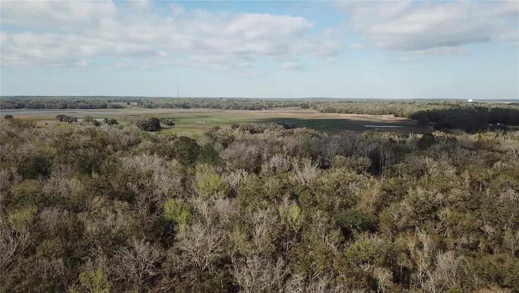 For Sale: $580,000 (19.20 acres)