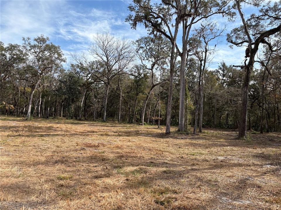 For Sale: $580,000 (19.20 acres)