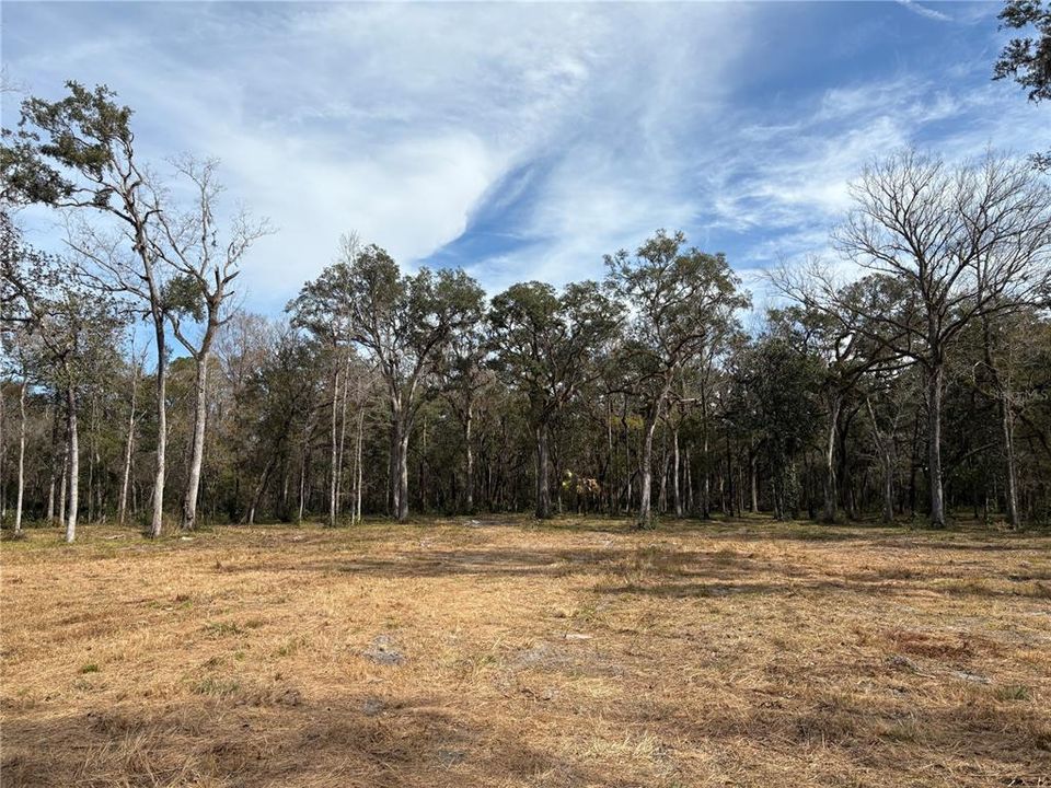 For Sale: $580,000 (19.20 acres)