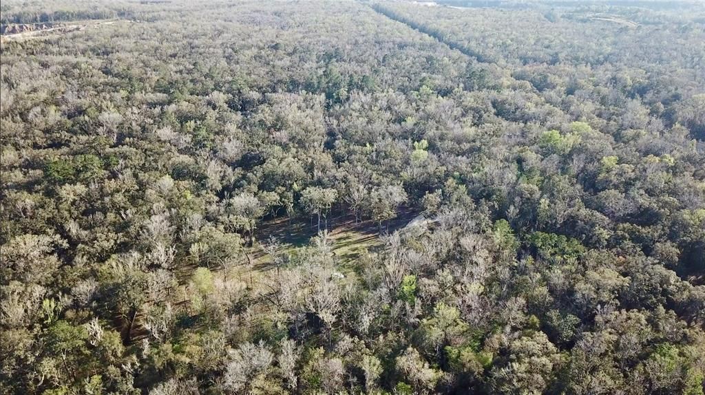 For Sale: $580,000 (19.20 acres)