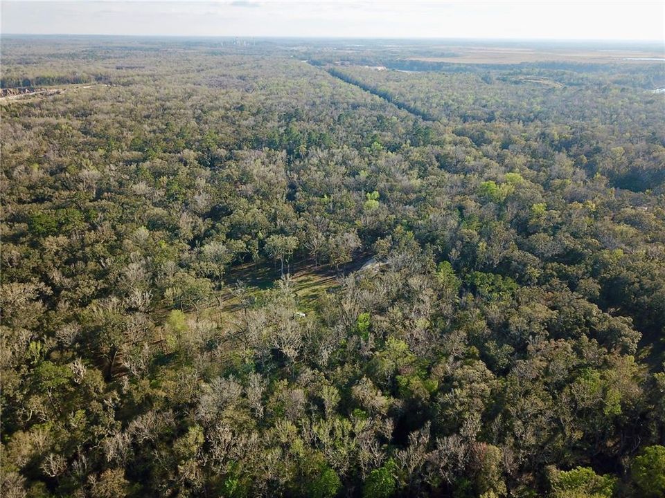 For Sale: $580,000 (19.20 acres)