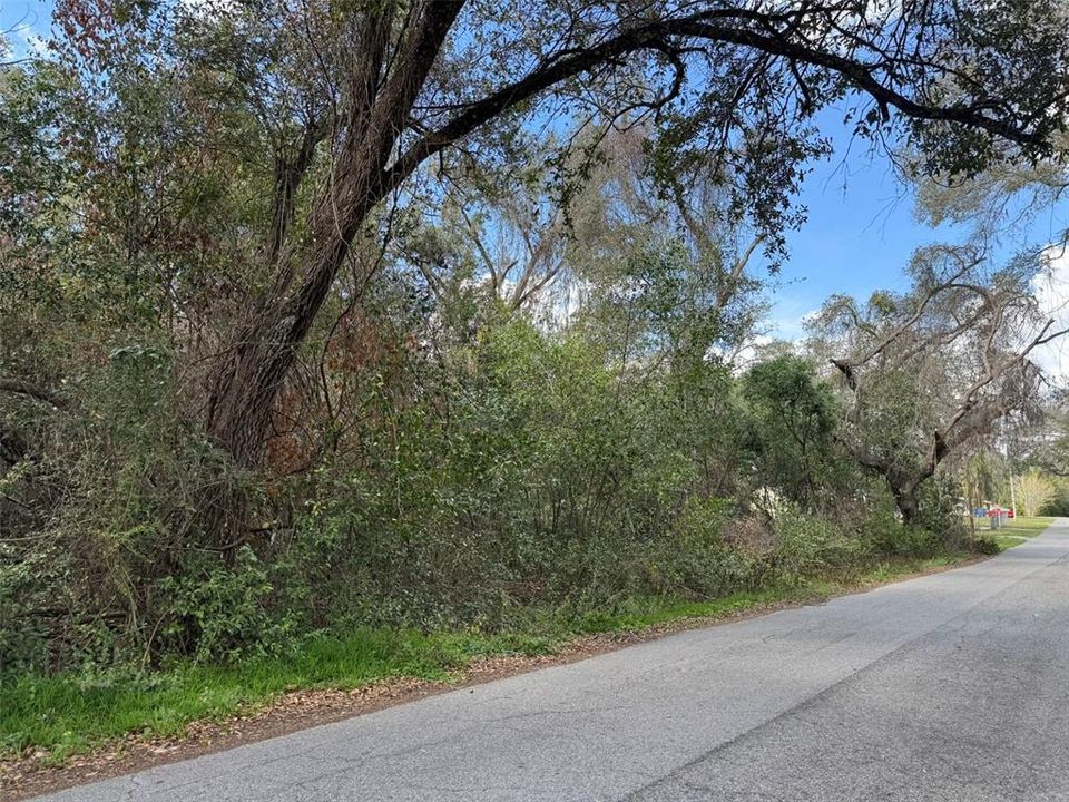 For Sale: $24,000 (0.33 acres)