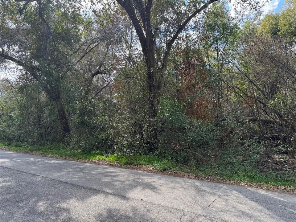 For Sale: $24,000 (0.33 acres)