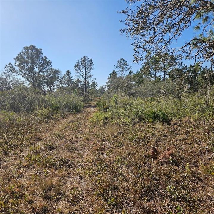 Недавно продано: $35,000 (1.16 acres)