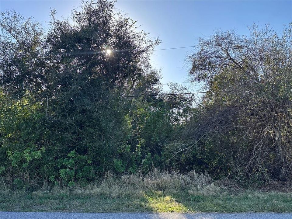 待售: $61,000 (0.22 acres)