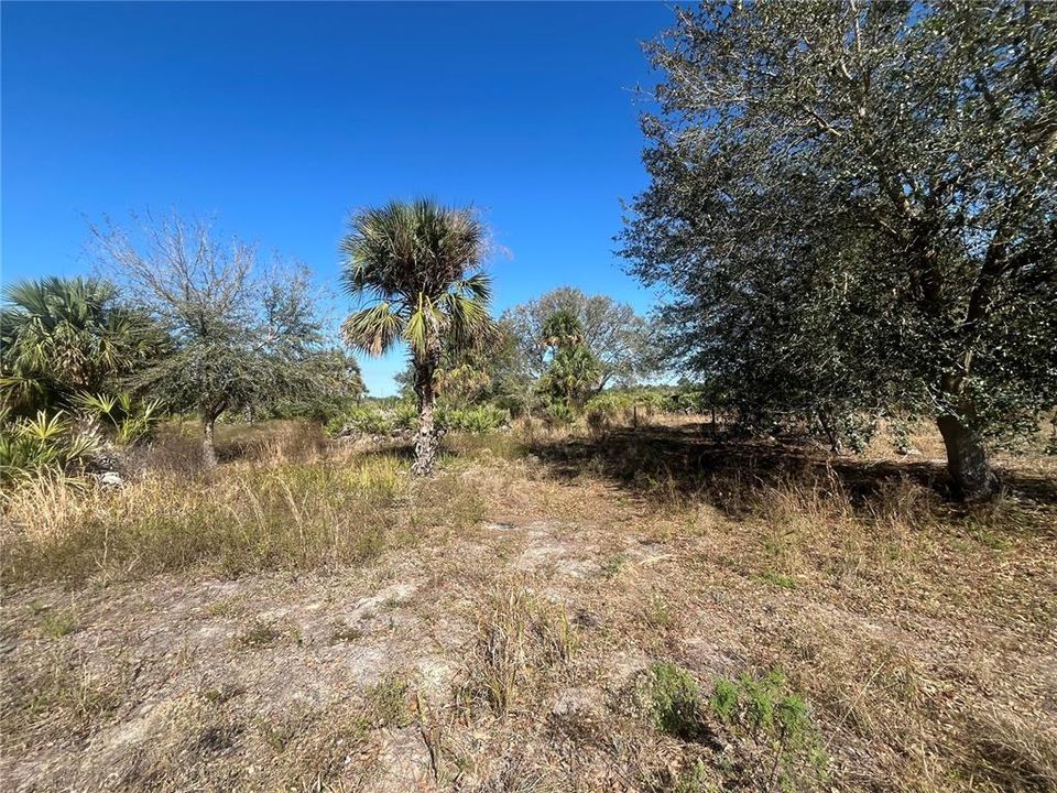 Recently Sold: $34,900 (1.25 acres)