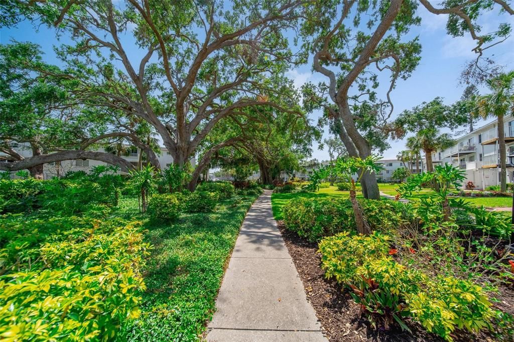 На продажу: $110,000 (2 спален, 2 ванн, 840 Квадратных фут)