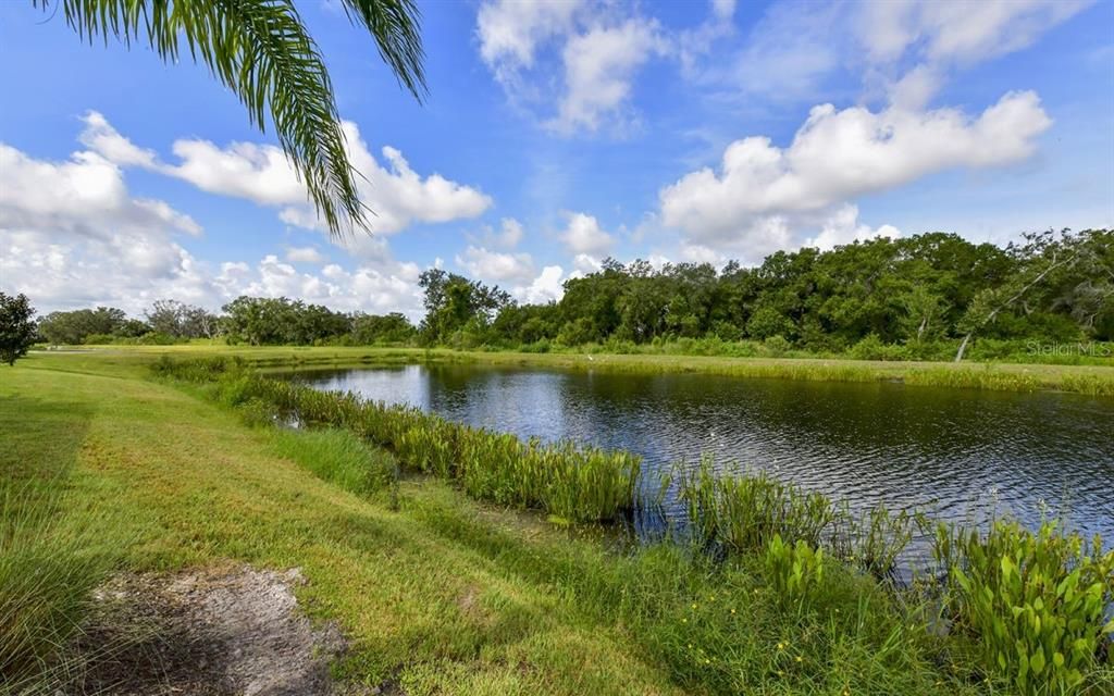 For Rent: $12,000 (2 beds, 2 baths, 1850 Square Feet)