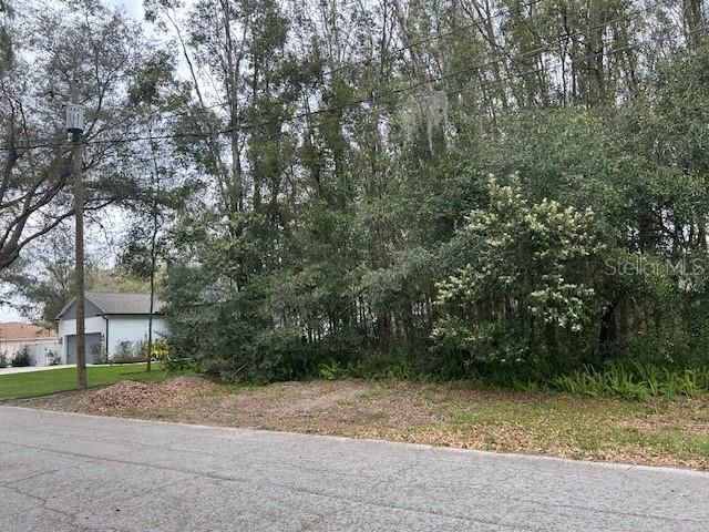 0 W PENNSYLVANIA VACANT TREED LOT