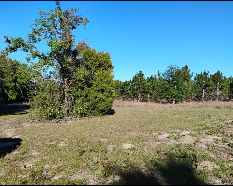 待售: $970,000 (11.60 acres)