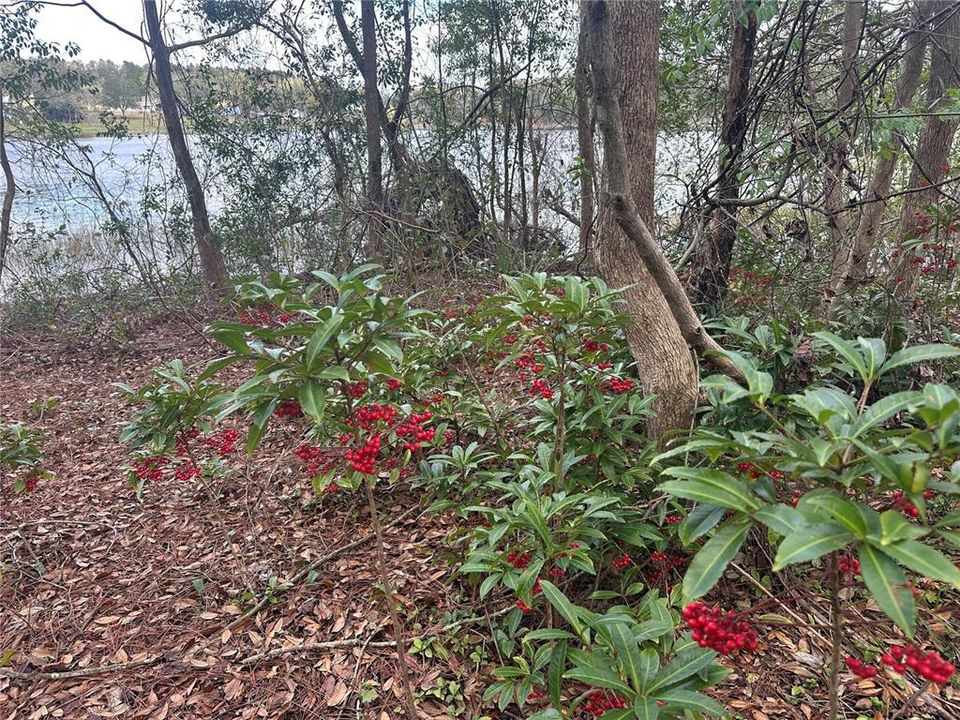 待售: $970,000 (11.60 acres)