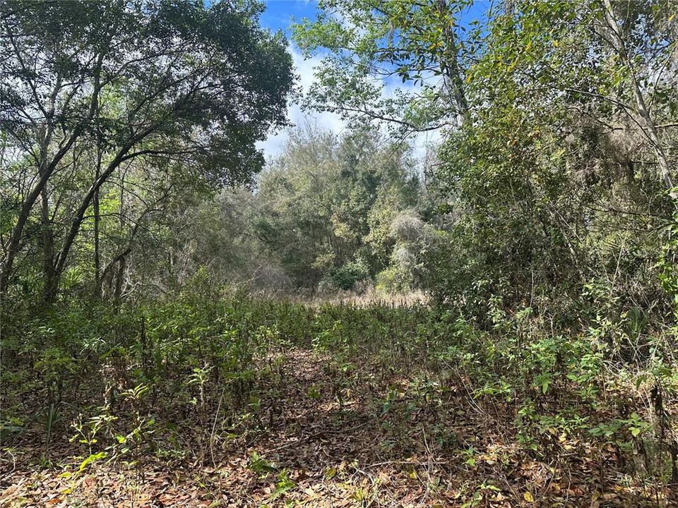 待售: $970,000 (11.60 acres)