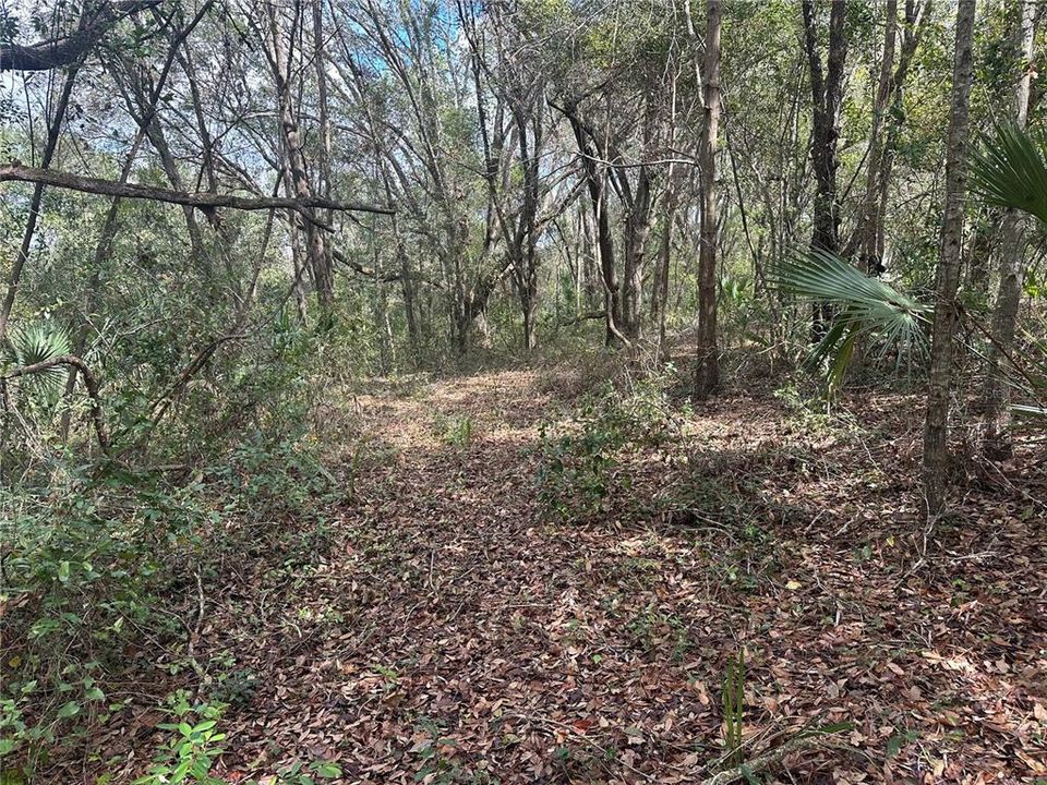 待售: $970,000 (11.60 acres)